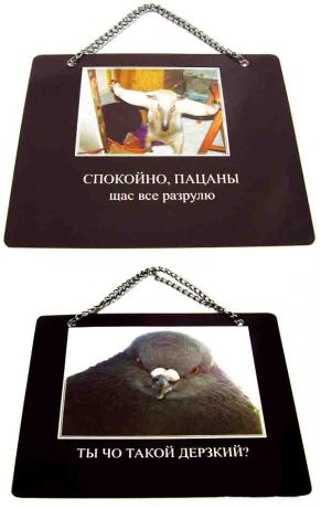 Плакат "Спокойно"