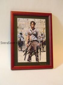 Автограф, Брюс Кэмпбелл (Army of Darkness)