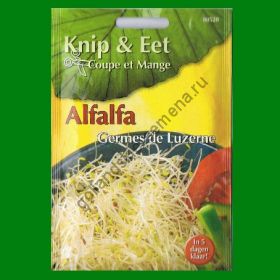 Проростки  ЛЮЦЕРНА    (Alfalfa)   20 грамм