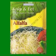 Проростки  ЛЮЦЕРНА    (Alfalfa)   20 грамм