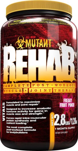 Fit Foods - Rehab