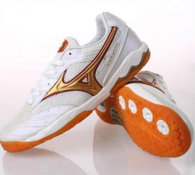 Кроссовки для Настольного тенниса волейбола MIZUNO Wave Medal