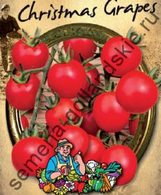 Томат сорт "КРИСТМАС ГРЭЙПС" (Christmas grapes) 10 семян