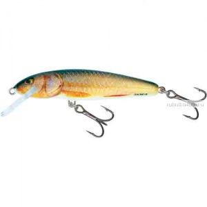 Воблер Salmo MINNOW S 50 цвет RR / до 1,5 м