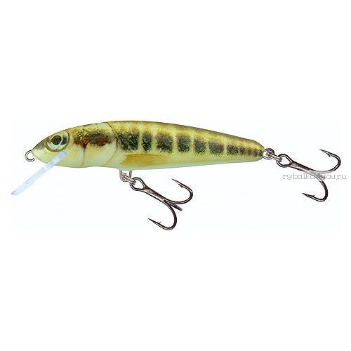 Воблер Salmo MINNOW S 60 цвет M / до 1,5 м