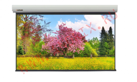 Экран с электроприводом Lumien Master Large Control 454x686 см (307")