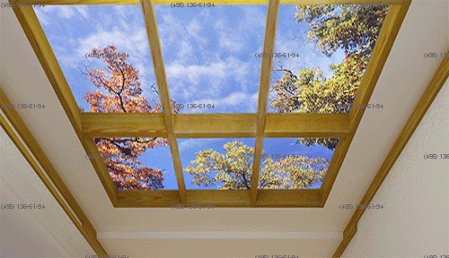 Индивидуальное проектирвание профессиональных светодиодных потолочных светильников больших размеров