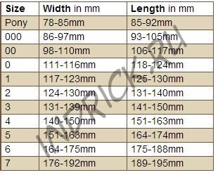 Ботинок для копыт Easyboot Epic
