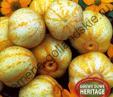 Огурец сорт "НАСТОЯЩИЙ ЛИМОН" (True Lemon)  5 семян