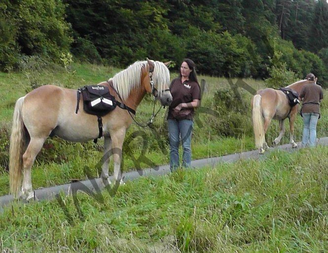 Сумка вьючная Barefoot Walk-My-Horse с вальтрапом