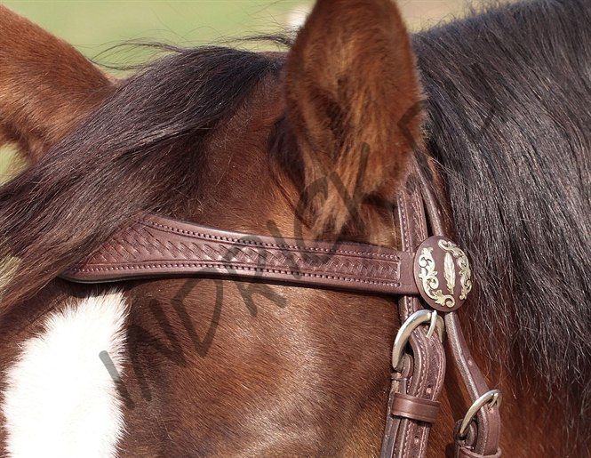 Оголовье Barefoot Missoula Nut