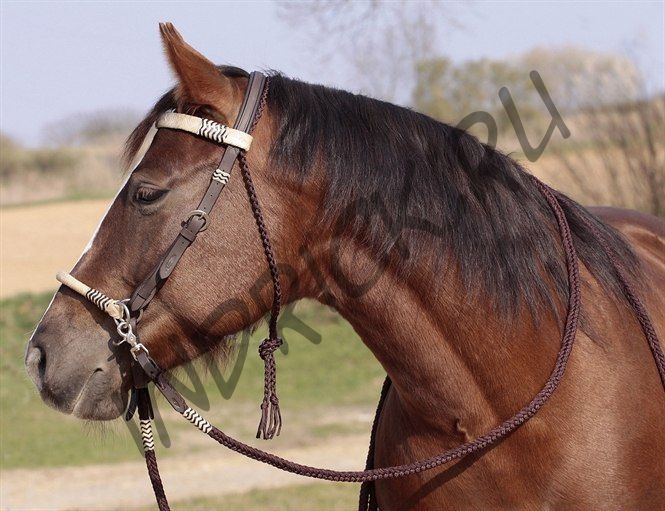 Сайд-пулл + трензельная уздечка Barefoot Acorn