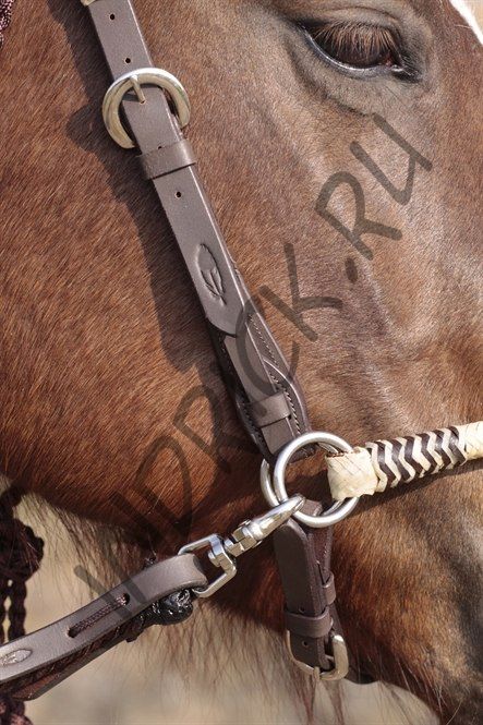 Сайд-пулл + трензельная уздечка Barefoot Acorn