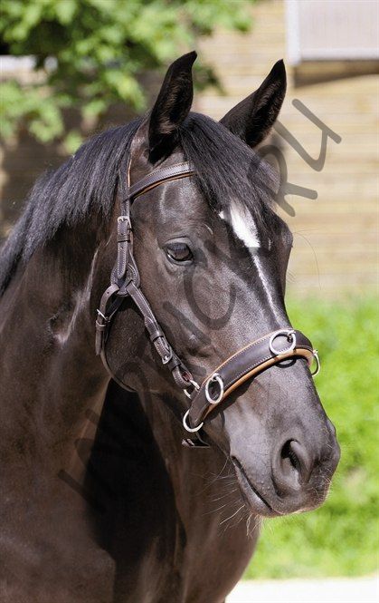 Модифицируемая уздечка Barefoot Contour Physio