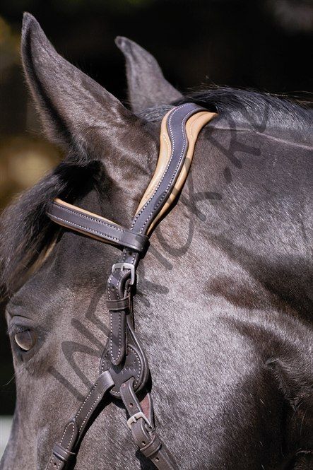 Модифицируемая уздечка Barefoot Contour Physio