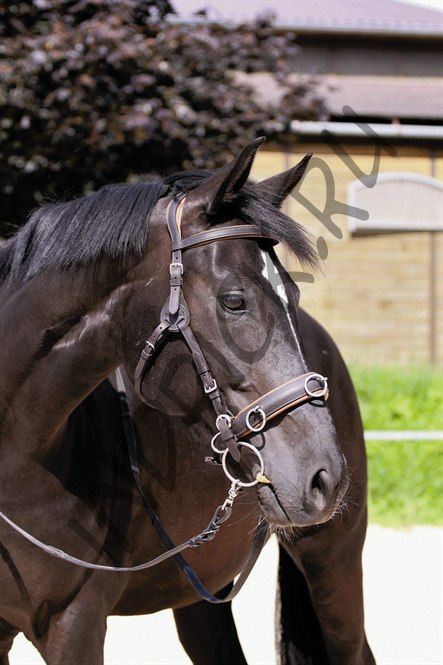 Модифицируемая уздечка Barefoot Contour Physio