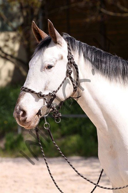 Веревочное оголовье-недоуздок Juniper 3 в 1