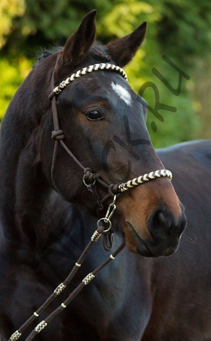 Веревочное оголовье-недоуздок  Seneca 3 в 1