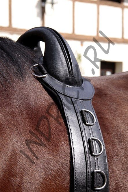 Гурта Save-My-Spine Full