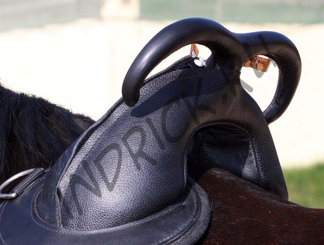 Гурта Save-My-Spine, со вставкой для начального тренинга и иппотерапии