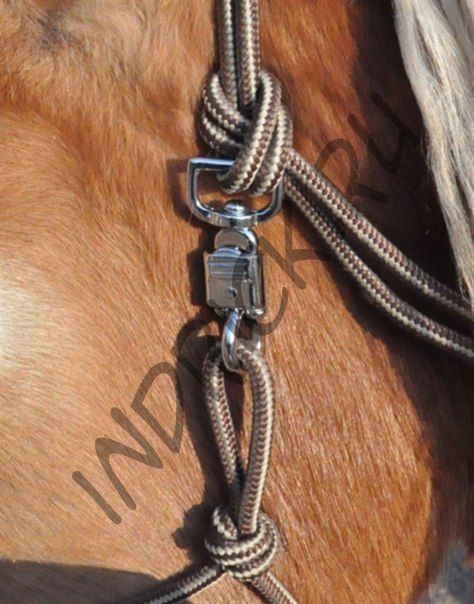 Карабин антипаника для недоуздка