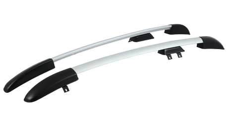 Рейлинги на Новый Рено Логан, анод серый