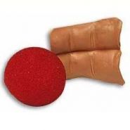 Sanada Sponge Gimmick (+обучение)