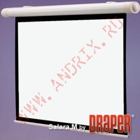 Экран с электроприводом Draper Salara 254/100" 152x203 HCG (3:4)