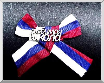 Значок "Любимая школа"