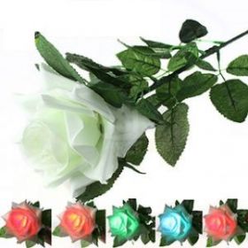 Пять цветов одной розы - D'Lite LED