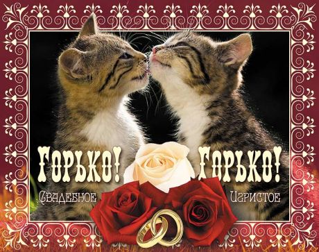 Наклейка на бутылку "Горько" (котики)