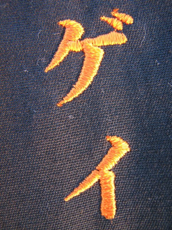 Н.Ковальчук шнурлы секс фотосуретінде