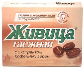 ЖИВИЦА. ТАЕЖНАЯ  ЖЕВАТЕЛЬНАЯ  СМОЛКА