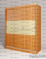 Шкаф-купе 3-х дверный Фанки Кидз 13/60 СВ (160х63х200)