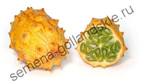 Огурец "КИВАНО" (Kiwano)  5 семян