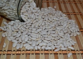 Фасоль Московская белая зеленостручковая 556