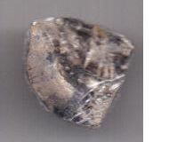 деньга 1425-1462 г. Василий ll Васильевич Темный