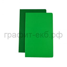 Книжка зап.Moleskine Large Volant линейка изумрудная QP721K12EN