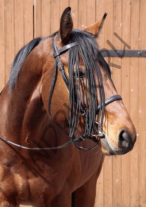 Комплект 2 в 1 (налобник от насекомых и обычный налобник)