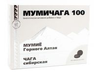 Мумичага 100 для повышения защитных сил организма