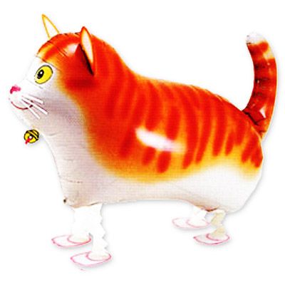 Шарик ходячий Кот (60 см.)