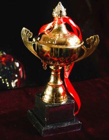Кубок наградной для соревнований 24,5 см