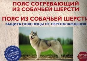 ПОЯС ИЗ СОБАЧЬЕЙ ШЕРСТИ 58-60 РАЗМЕР ИП АЗОВЦЕВА