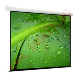 Экран с электроприводом ViewScreen Breston 406x305 см MW (4:3)
