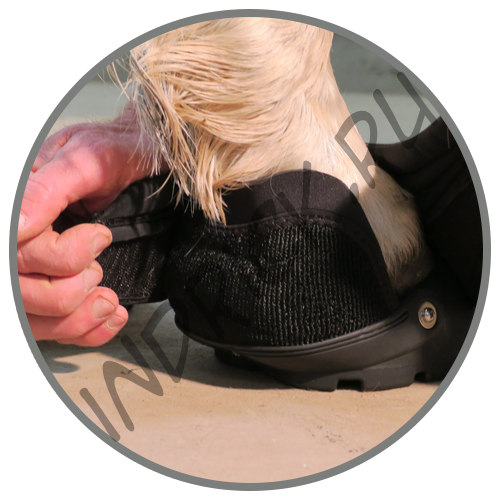 Ботинок для копыт Easyboot Back Country New 2016