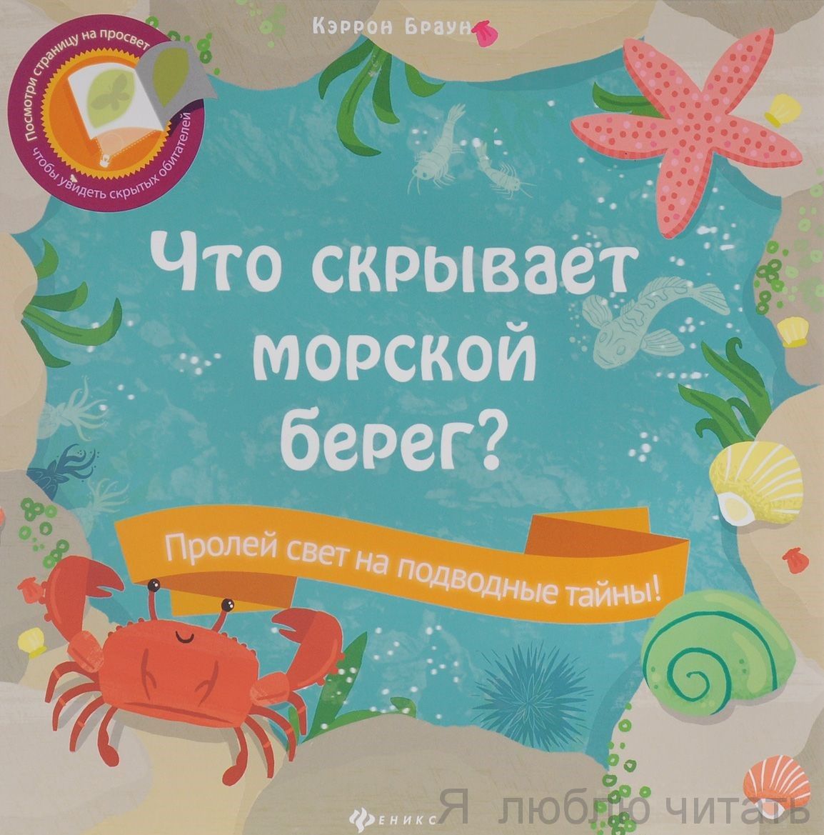 Что скрывает морской берег?