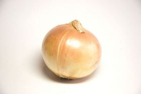 Лук репч (Египет)