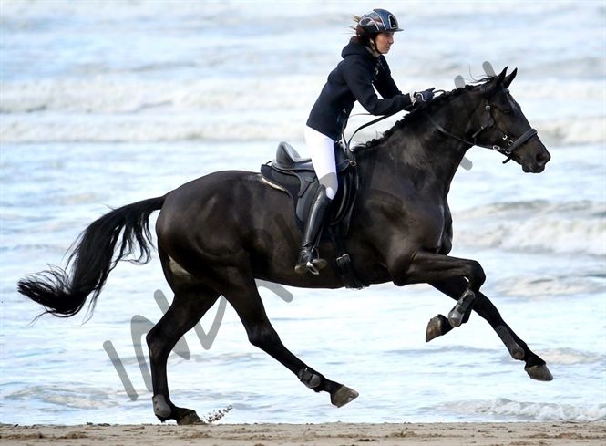 Безленчиковое седло Barefoot Wellington