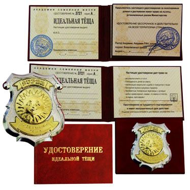 Идеальная тёщя