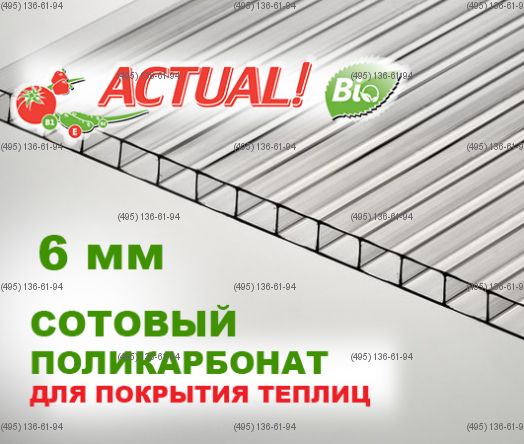 Сотовый поликарбонат для теплиц Актуаль! BIO 6 мм 2100 х 6000 прозрачный